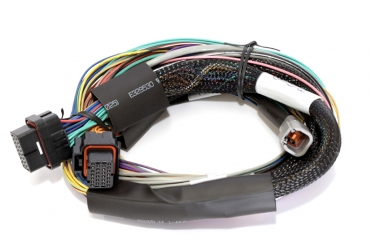 Elite 2500 T + Basic Universal Wire-in Harness Kit